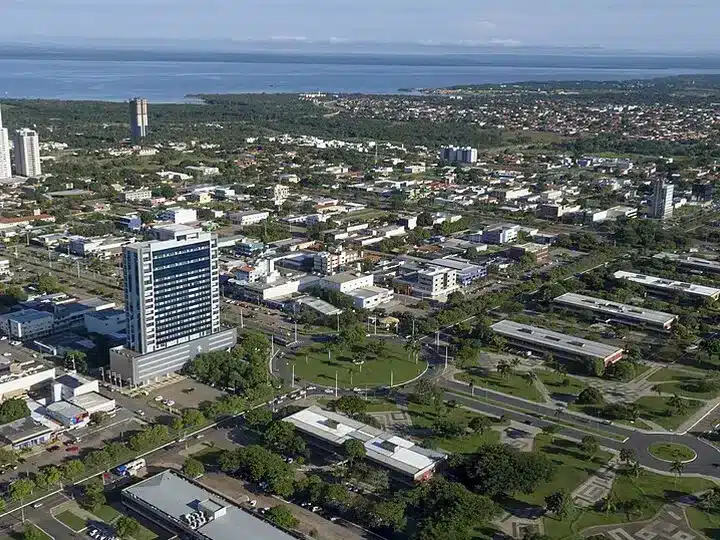 Palmas